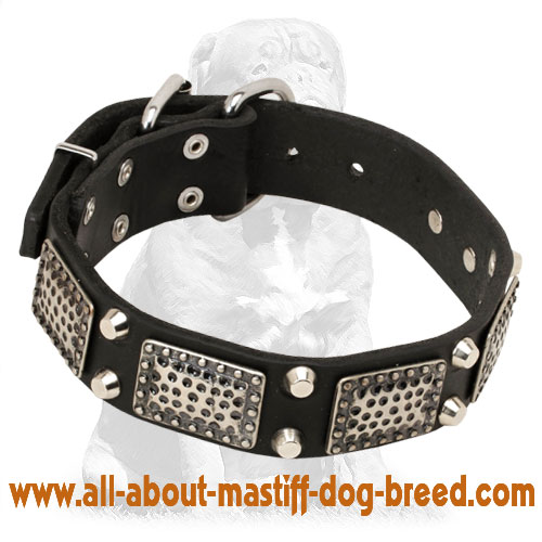 Chic Mastiff Collar with Plates and Pyramids
