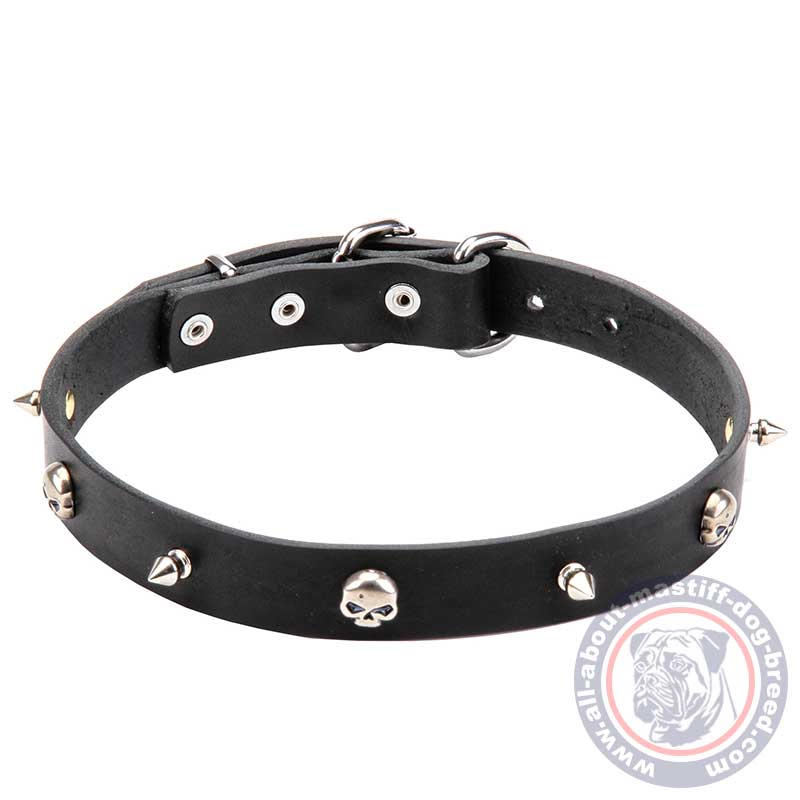 Mastiff Pirate Style Leather Collar with Nickel Plated Spikes and Skulls 1 inch (25 mm) wide