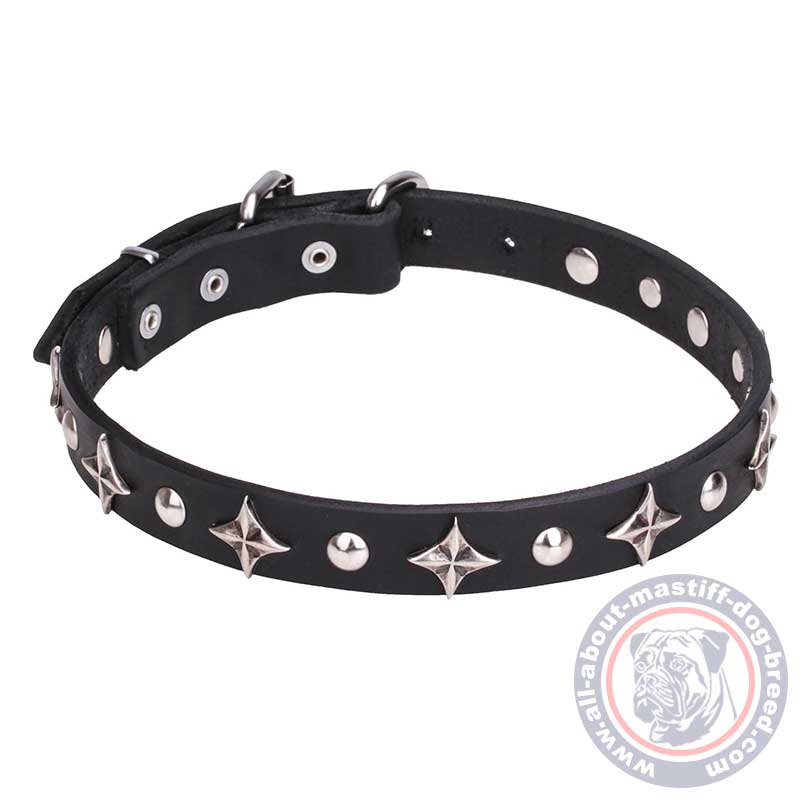 Mastiff Leather Dog Collar with Chrome Plated Stars and Studs