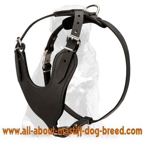 Mastiff Attack Training Large Leather Dog Harness - Durable Dog Harness