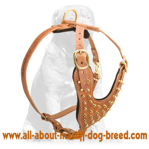 Mastiff Fashion Spiked Leather Dog Harness