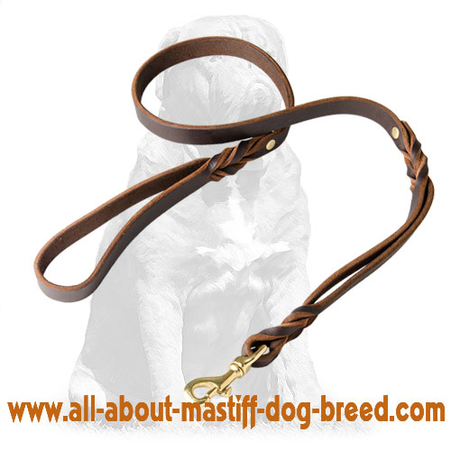 Leather Mastiff Leash With Extra Handle and Braided End