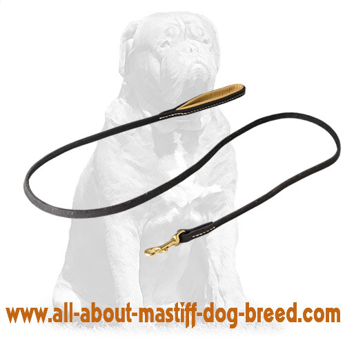 Mastiff Handmade Leather Dog Leash for Walking and Training - Click Image to Close