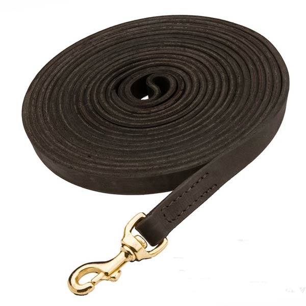 Leather Mastiff leash for tracking