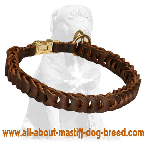 Mastiff Braided Choke Leather Collar | Quick Release Buckle