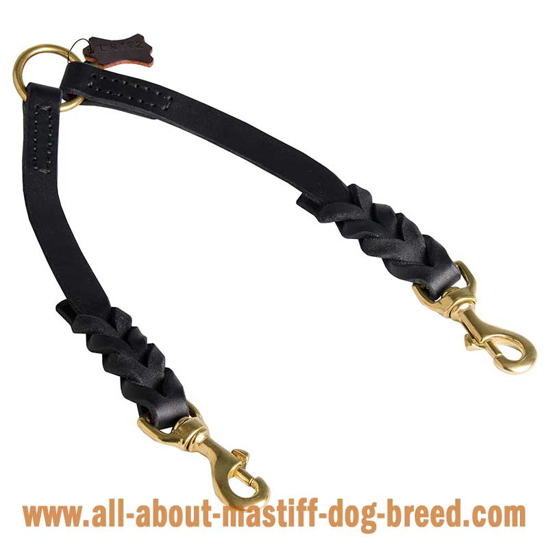 Braided Leather Coupler Leash for Walking 2 Dogs
