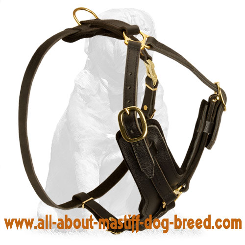 Y-Shaped American Bandogge Dog Harness for Attack/Agitation Training