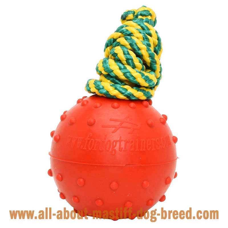 Mastiff Small Rubber Dog Ball Dotted on Cord 6cm