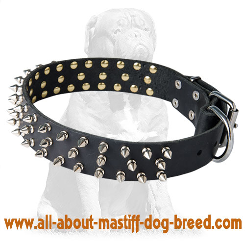 Mastiff Leather Collar 3 Rows of Spikes