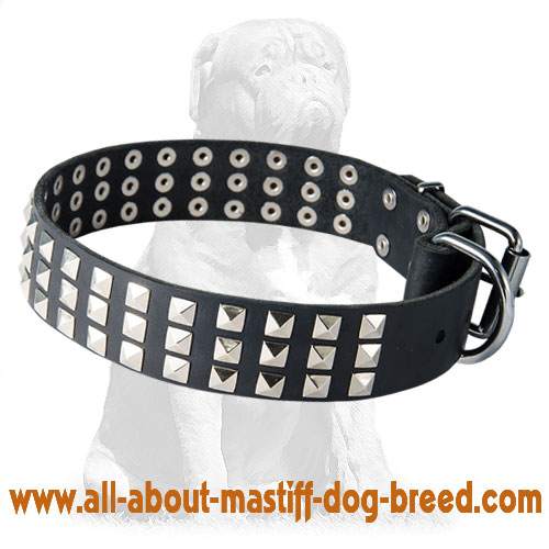 Mastiff Leather Collar 3 Rows of Pyramids