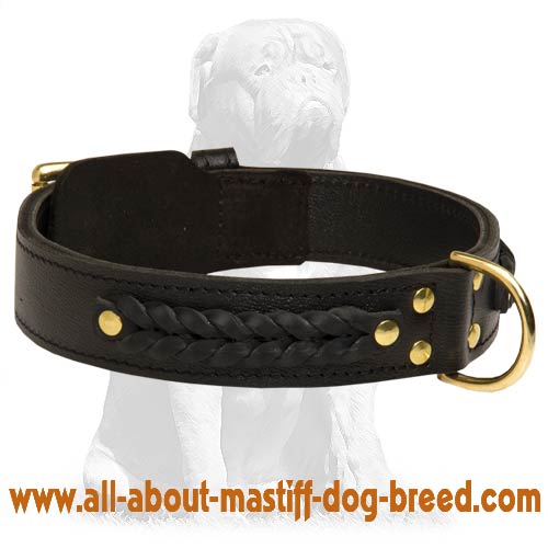 Mastiff Leather Collar Braided Design