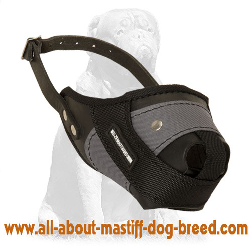 Mastiff Leather Nylon Muzzle Agitation Training