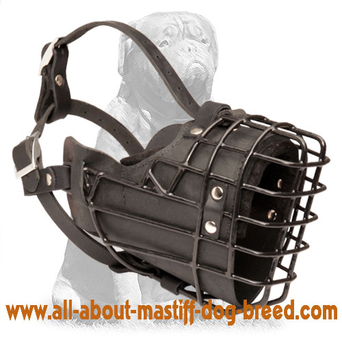 Mastiff Leather Padded Wire Basket Dog Muzzle for Winter Season
