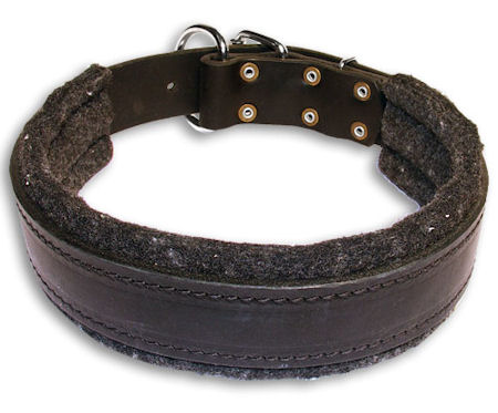 Leather Padded Black collar 26'' for Mastiff /26 inch dog collar - C24