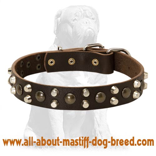 Mastiff Decorated Leather Сollar | Studs and Pyramids