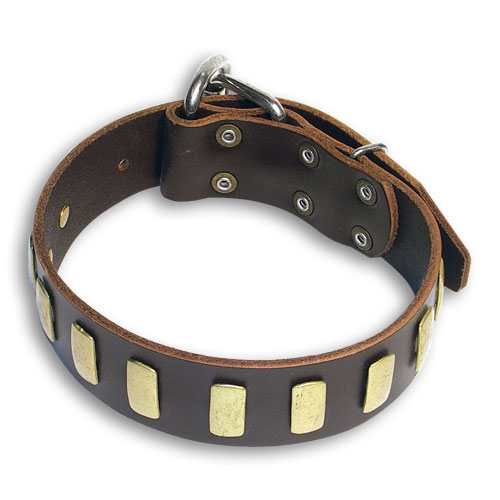 Mastiff Personalized Brown collar 23'' /23 inch dog collar -S33p