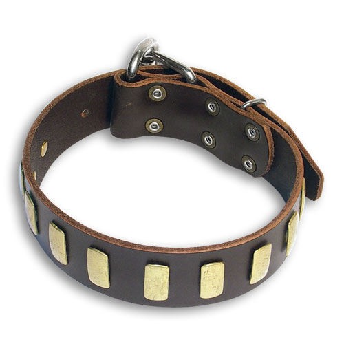 24 inch leather dog collar