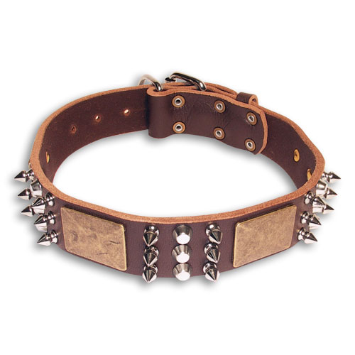 Leather Spiked Brown collar 26'' for Mastiff /26 inch dog collar - C86