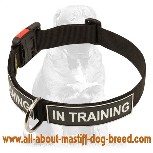 Extra strong nylon collar with patches