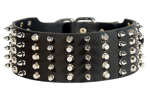 3 inch Spiked and Studded Mastiff collar