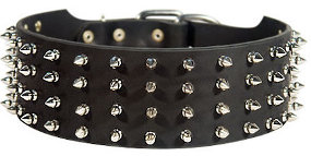 3 inch Custom Spiked Leather Collar for Mastiff