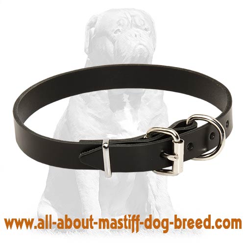 Simple stylish leather collar