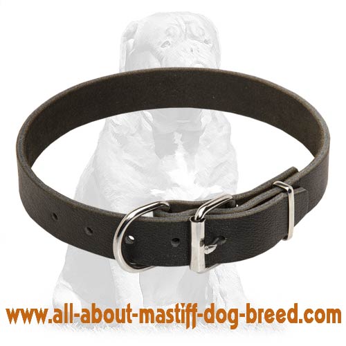 Exclusive elegant leather collar