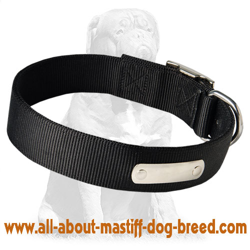 Trendy Mastiff collar with ID-tag