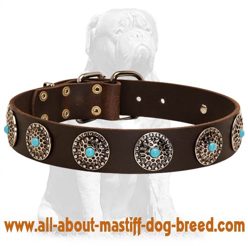 Stunning Mastiff collar with blue stones