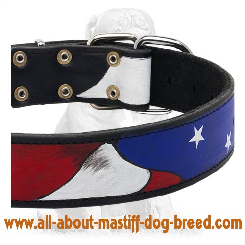 Eye-catching American Pride multifunctional collar