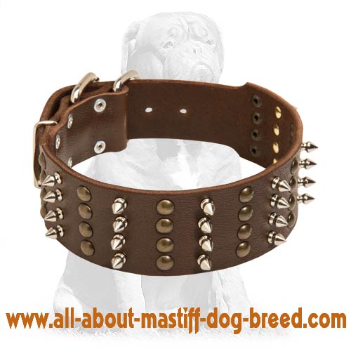 Posh Mastiff Spiked and Studded Collar