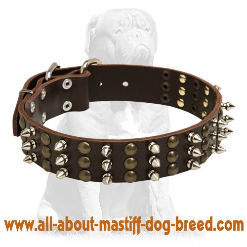 Handcrafted Mastiff Leather Collar with Luxurious Decorations