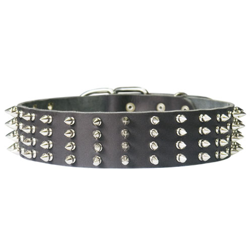 2 inch wide Leather Spiked Dog Collar for Mastiff
