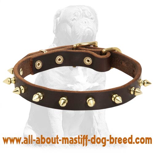 Multipurpose Spiked leather collar