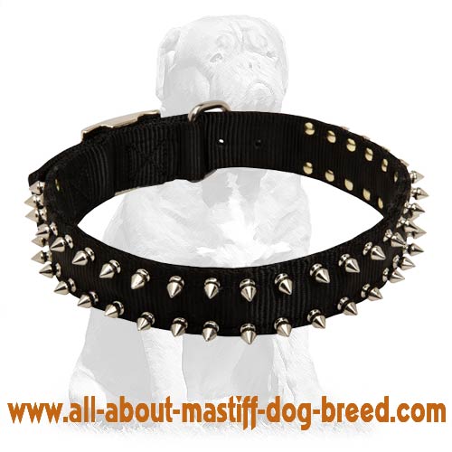 Spiked Nylon Mastiff Collar