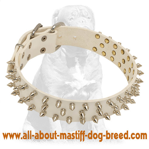 Chic White Leather Collar wth Spikes