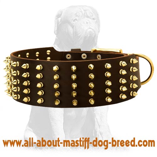 Leather Spiked Mastiff Collar
