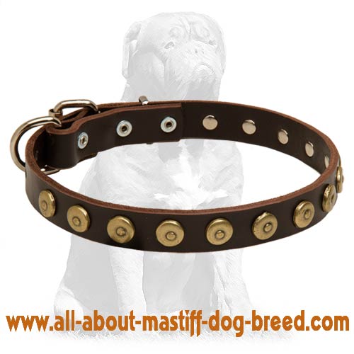 Mastiff Studded Leather Dog Collar with Doted Circles [S281071