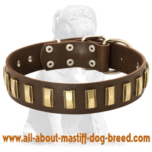 Chic Leather Mastiff Collar with Brass Plates - Click Image to Close