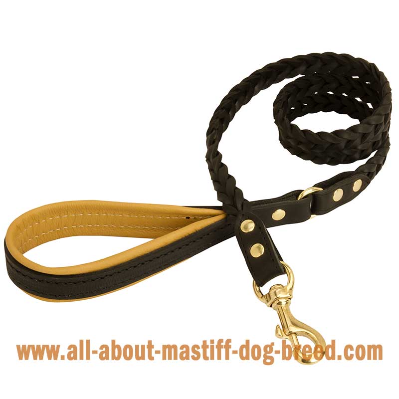 Braided Mastiff Leash for Walking
