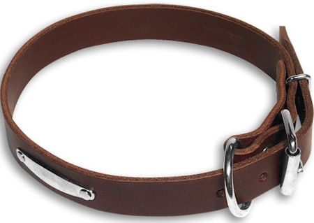 Brown Status Symbols Dog Collar - Medium/Large