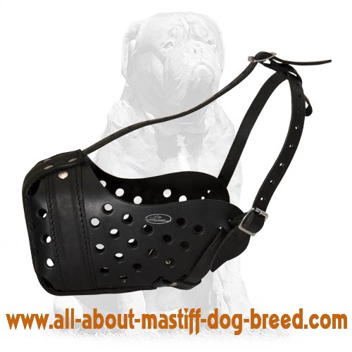 Agitation Training Leather Dog Muzzle for Mastiff Breeds