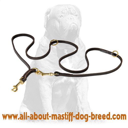 Mastiff Multifunctional Baby Soft English Leather Dog Leash