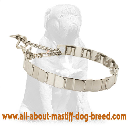Stylish Mastiff HS Neck Tech Stainless Steel Pinch Prong Collar 24 inch (60 cm)