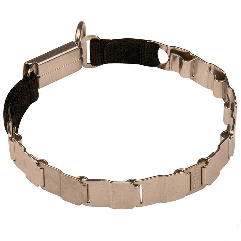 Get Mastiff Stainless Steel Collar Strong Neck Tech Dog Collar