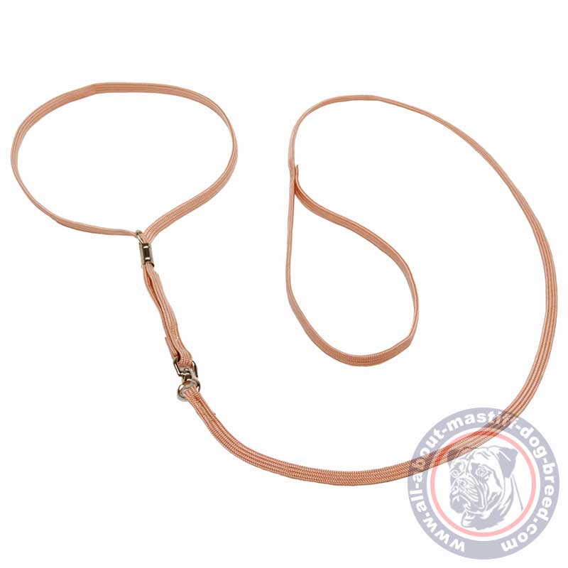 Mastiff Nylon Dog Show Collar & Leash Combo