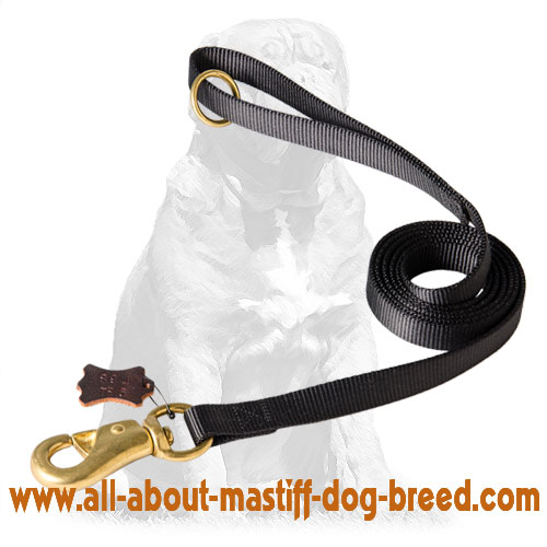 Mastiff Tubular Nylon Waist Lead 6ft for Walking and Tracking