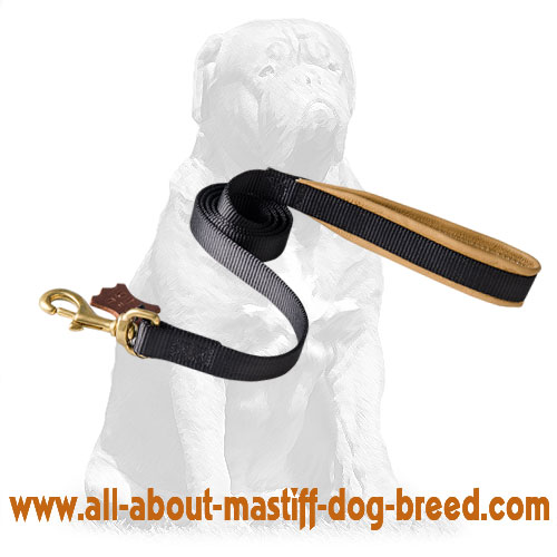 Excellent Mastiff Lead with Padded Handle