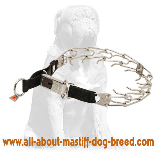 Mastiff Stainless Steel Pinch Prong Collar1/8 inch (3.2 mm)