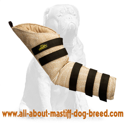 Dog Hidden Protection Sleeve